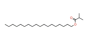 Octadecyl isobutyrate